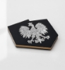 Obrazek MAGNES SREBRNY – POLSKA