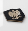 Obrazek MAGNES ZŁOTY – POLSKA